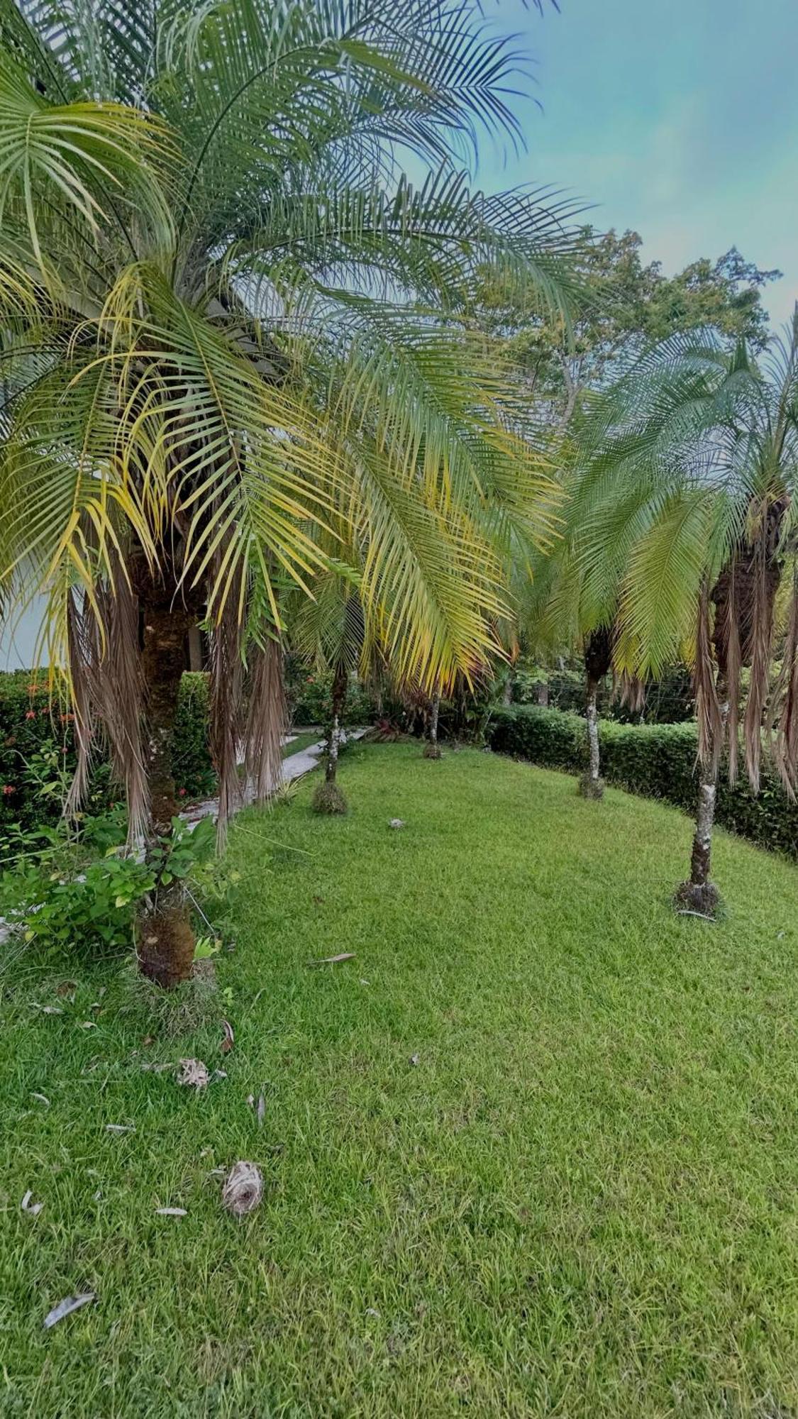Villa Vista Mar Dominical Zewnętrze zdjęcie